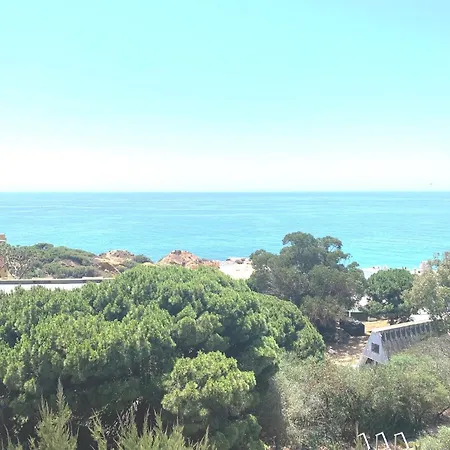 Barracuda A14 Apartment *