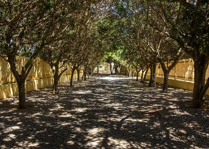 Barracuda A14 Apartman *