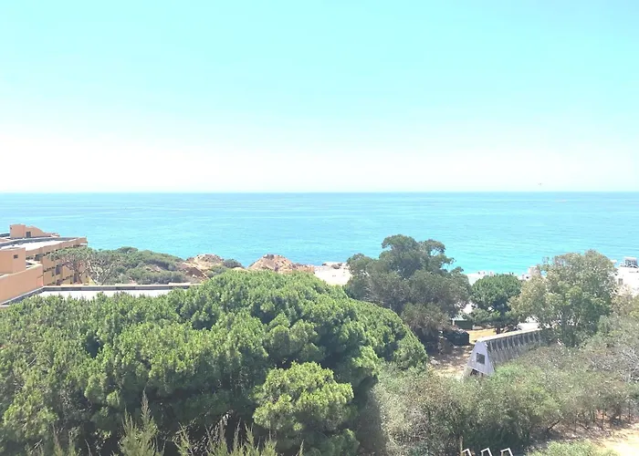 Barracuda A14 Apartman *