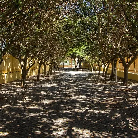 Barracuda A14 Lägenhet *